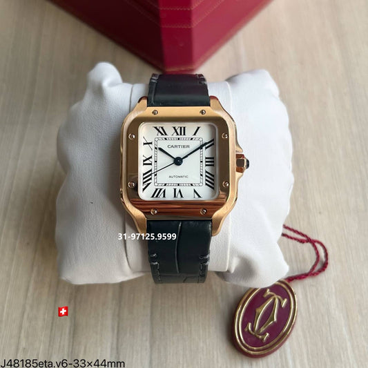 Santos de Cartier / gold